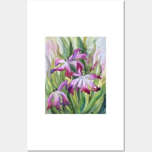 Tulips Watercolor Painting Posters and Art